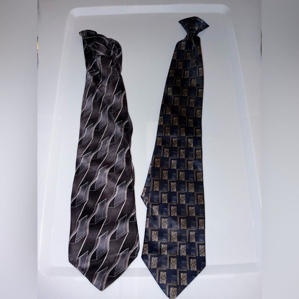 Set of 2 Elegant Puritan Patterned Ties